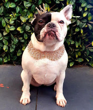 Load image into Gallery viewer, Rosegold on white tie-on collar
