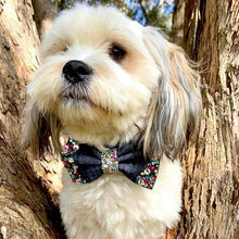 Load image into Gallery viewer, Denim and multi coloured stones Bow tie
