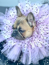 Load image into Gallery viewer, Gorgeous in Pink tutu
