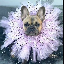 Load image into Gallery viewer, Gorgeous in Pink tutu
