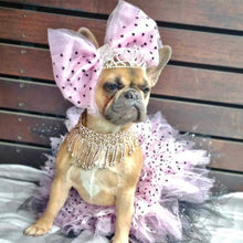 Load image into Gallery viewer, Gorgeous in Pink tutu
