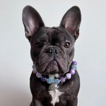 Load image into Gallery viewer, Queen Luna - Bead necklace by Luna @luna_thefrenchie4421
