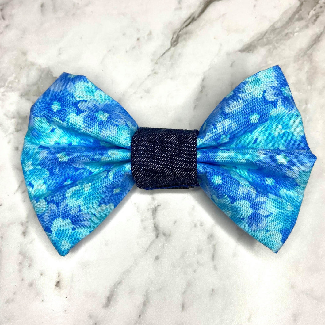 Handsome in blue Bowtie